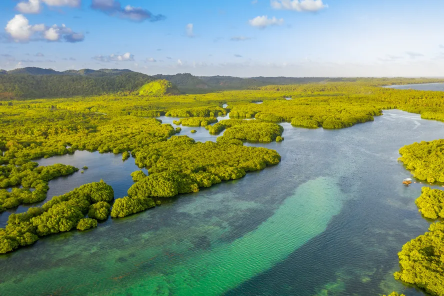 Brasil pode liderar mercado de carbono no mundo; previsão é que setor movimente US$ 50 bi até 2030